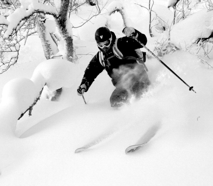 Skogen i ramis är trevlig. Foto: Petteri Koste. Åkare: Henrik Mideroos.