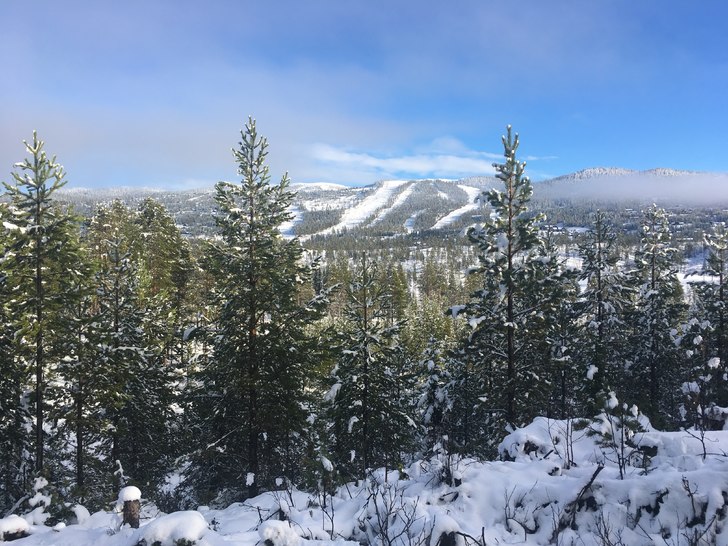 Årets første ordentlige snøfall er et faktum
De.
