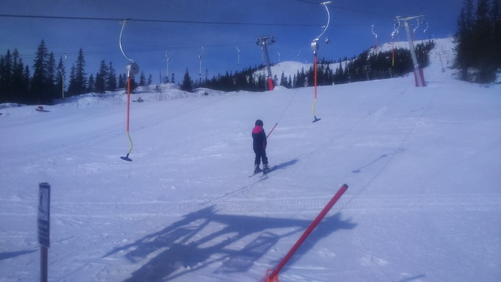 Strålende vintersol 
Velkommen til fantastisk ski.