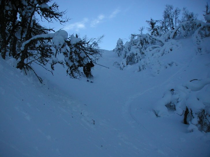 Synd att grenen skymmer den vackra utsikten.... Foto: Daniel Wahlström. Åkare: Joachim Knief.