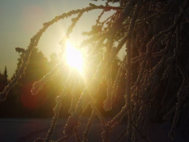även här åkte kameran fram, eftersom det var so. Foto: andrea lundqvist.