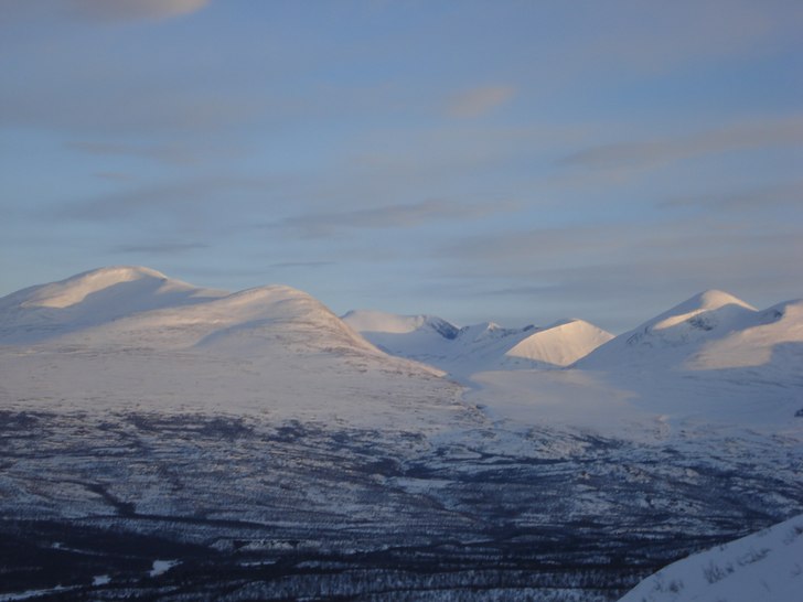 Foto: Sofia Wallström.