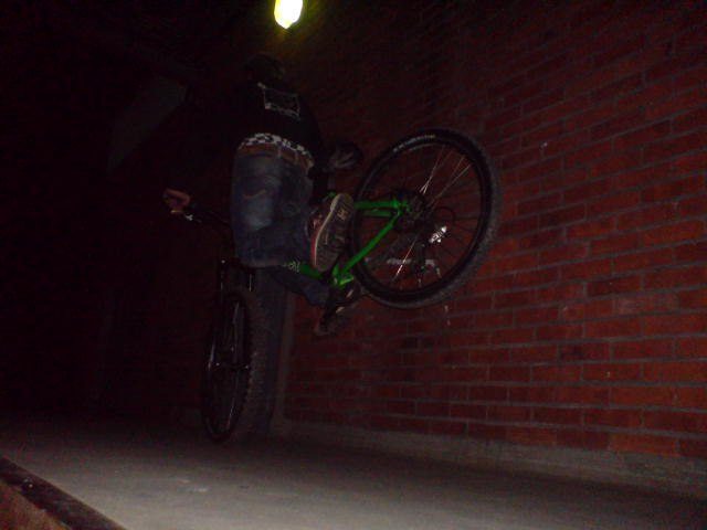 Foto: LiLLen Bergström. Åkare: RaZ Ericsson.