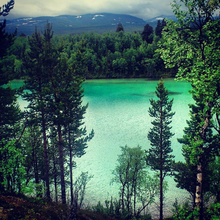 Blanktjärn - Jämtland.