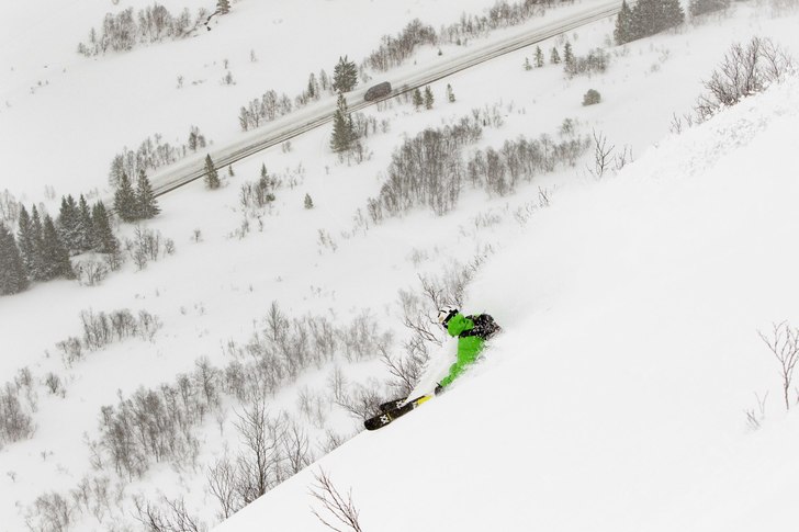 Furusetskogen – kort men nagganade gott.. Foto: Fredrik Schenholm.