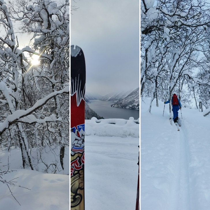 @per hagdal 
@bregofjell 
@markus tysk 
@erik k.