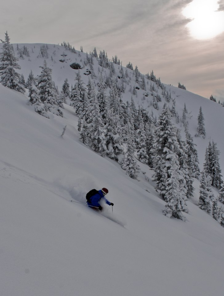 Puder åkning i Revelstoke. Foto: Mikael Lind. Åkare: Josefine Bergs.