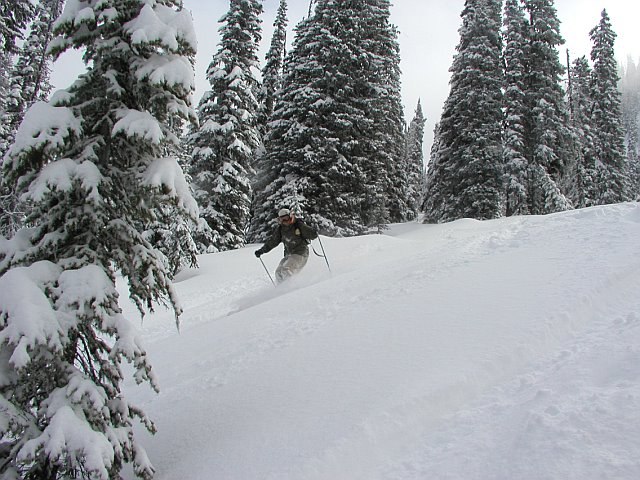 BIG WENDSAY ON MONACHEES..... Foto: howie. Åkare: DIEGUITO.