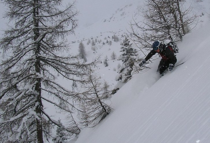 Skogsåk efter ett snöfall. Foto: Martin Ottosson. Åkare: Simon Nyström.
