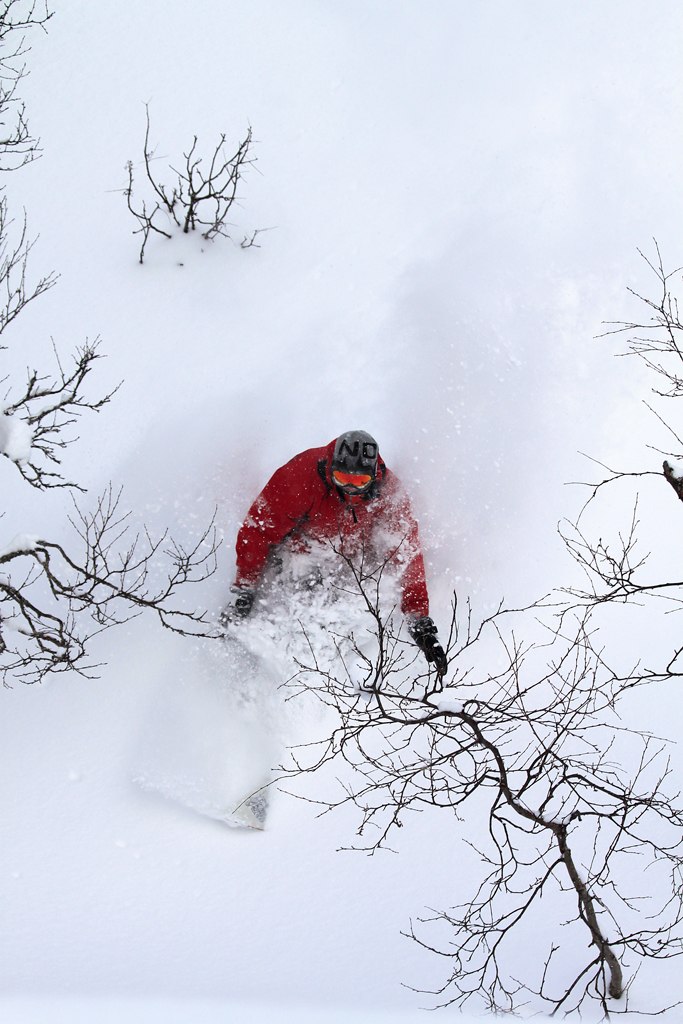 Foto: Joakim Jansson. Åkare: Daniel Elfving.