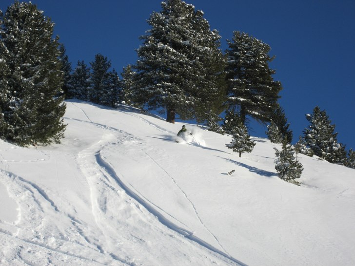 Foto: Herman Sjølund. Åkare: Sten Kristian Odden.