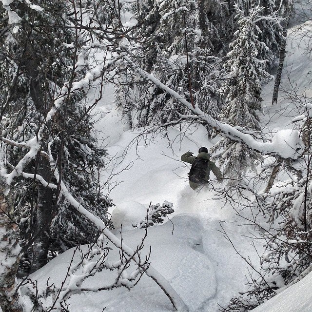 Borga 2015 - @styrbjornnordin. Foto: Anna Karlström. Åkare: Tobias Nordin.