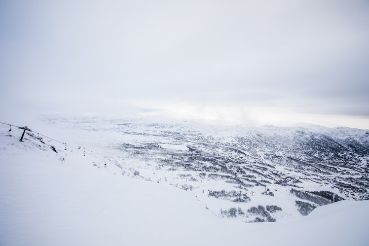 Fredag
God morgen! 
Vi starter dagen her på anle.