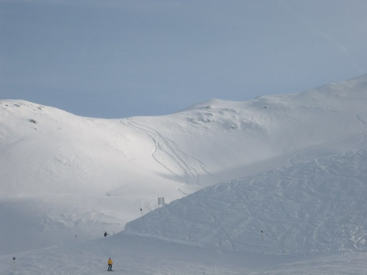 Skidspår från en kort åktur efter skrå. Foto: Roger Bolling.