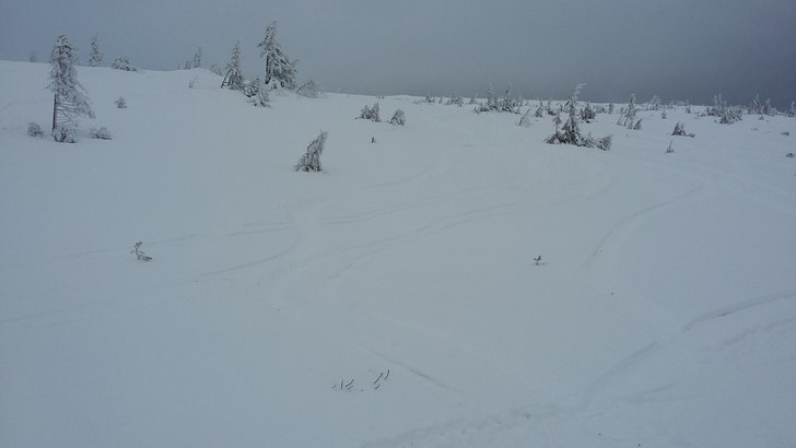Vinterstemning på Norefjell
14 av 14 heiser  og 2.