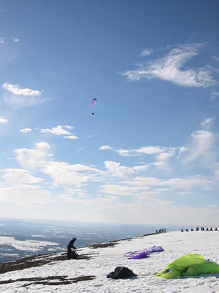 sydhanget på hundfjället. Foto: Tony Ekstöm.