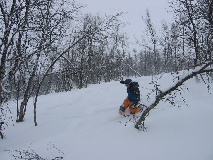 Foto: Kjartan Karlsen. Åkare: Ørjan Olsen.