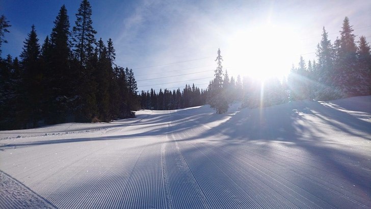 Sol!☀️
Perfekte forhold i bakken og det hele t.
