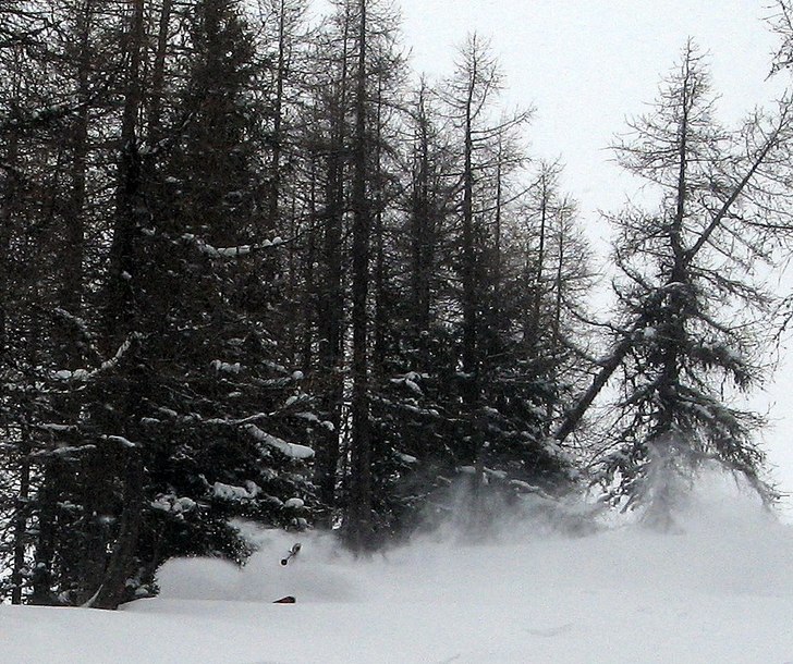 Djupt nr 1 i lärkskogen. Foto: Sture Ågren. Åkare: Peter Karlsson.