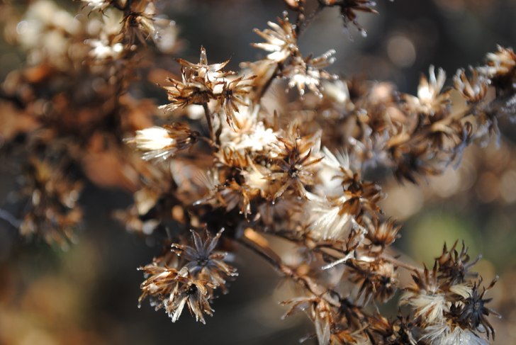 Foto: Linn Östlund.