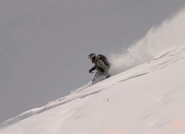 Malfatta. Foto: Rune Haldorsen. Åkare: Harald Søndenå Jacobsen.