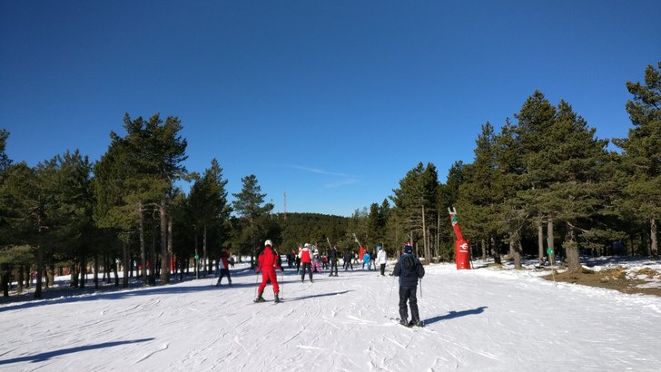 Valdelinares - transportsträcka i pinjeskog.