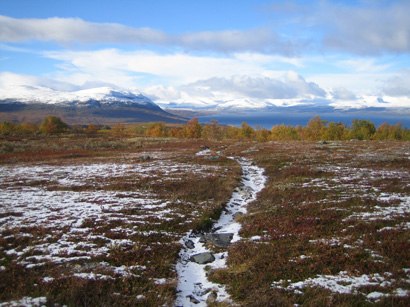 Foto: Sara Mattsson.