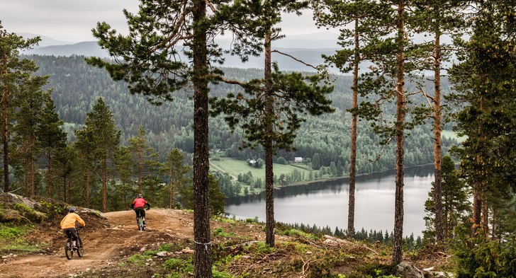 Foto: Tomas Almbo. Åkare: Anna Karlsson.