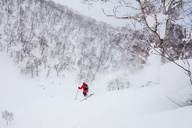 Trädflyg i Niseko. Foto: Edwin Ljungstrand. Åkare: Andreas Ojamäe.