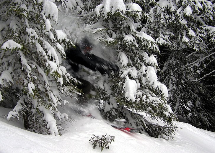 Puderåkning i duved/tegefjäll . Foto: Viktor Bjurlid. Åkare: Samuel Johansson.