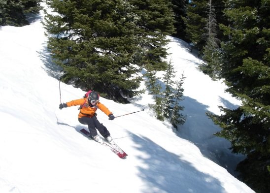 Foto: Anders Merenius. Åkare: Monika Eriksson.