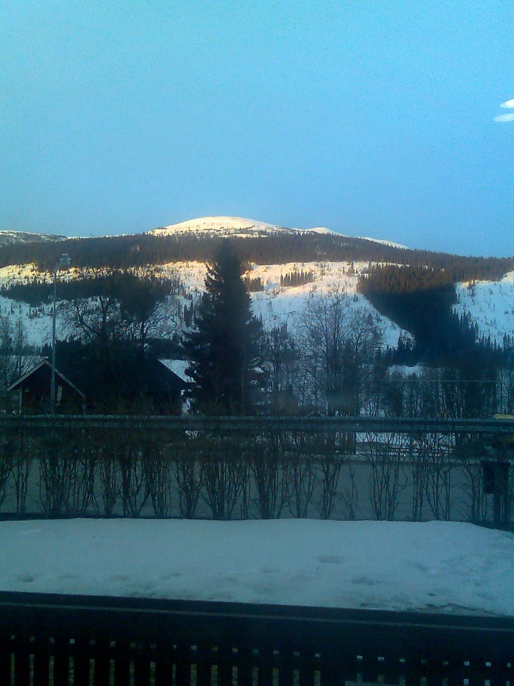 Foto: Tilda Gyllare.