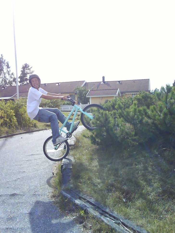 abobaka på en 40 cm hög trä stock. Foto: Marcus nordin. Åkare: Wille össtenson.