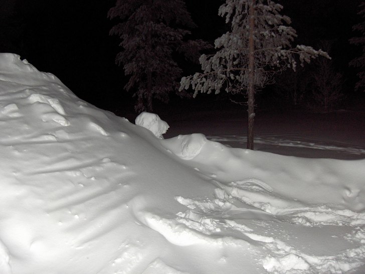 Ser ni isbjörnen som sover i snön?. Foto: Ari Peippo.
