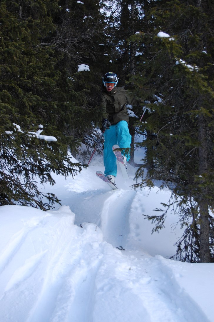 jag hoppa mellan två träd. Foto: emil gustavsson. Åkare: anton hartell.