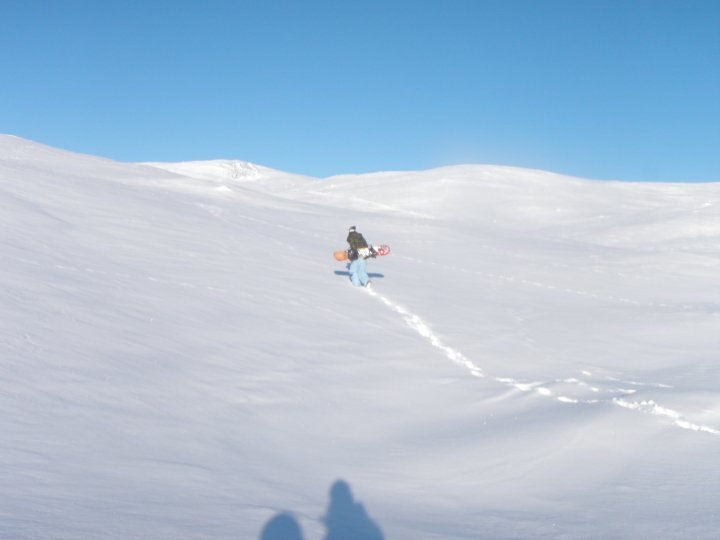 Foto: erik. Åkare: tess.