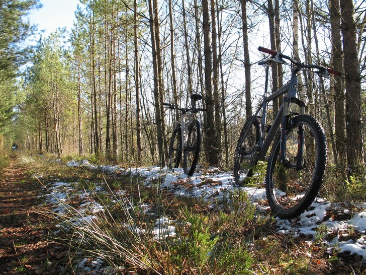 Cyklarna vid en myr utanför Osby i November. Foto: Erik Thorsell.