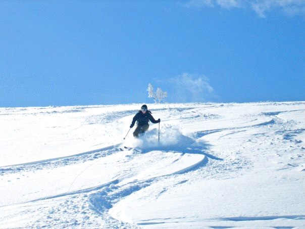 Foto: Camilla Waara. Åkare: Veronica Wennerström.