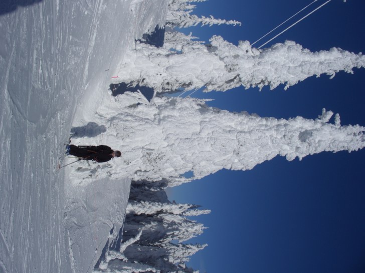 Första soliga dagen på veckor. Foto: Emil Persson. Åkare: Karin Åstrand.