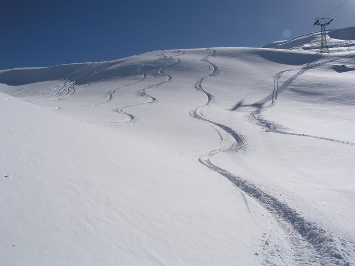 Kolla mitt spår..... Foto: Pierre Andihn. Åkare: Pierre Andihn.