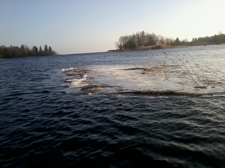 Foto: ian Archibald.