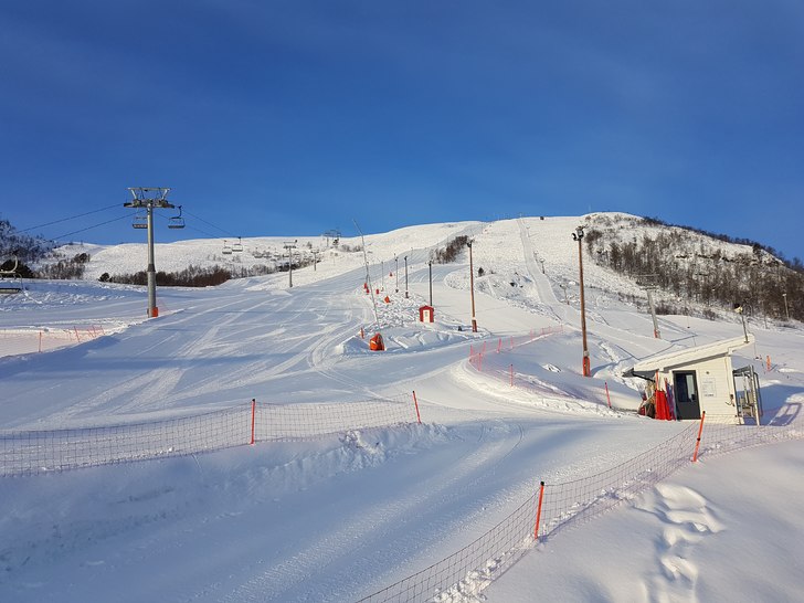 Søndag 19/3
Strandafjellet søndag 19/3 er de her.