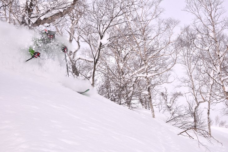 Foto: Nils Hallgren. Åkare: Mattias Fredler.