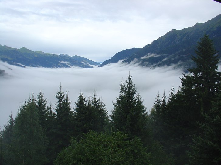 Vaknar till dimma en tidig morgon... Foto: Jenny Johansson.