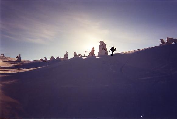 Foto: Mattias Berglund. Åkare: Daniel Andersson.