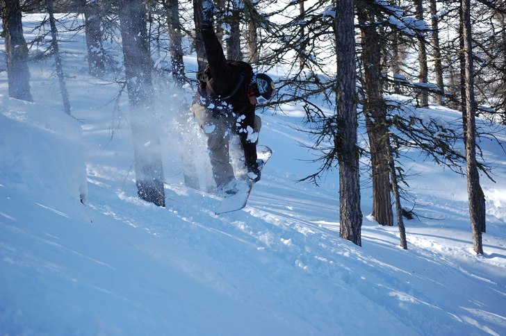 Augilette-skogen i Serre. Foto: Jonas Andersson. Åkare: Daniel Kalin.
