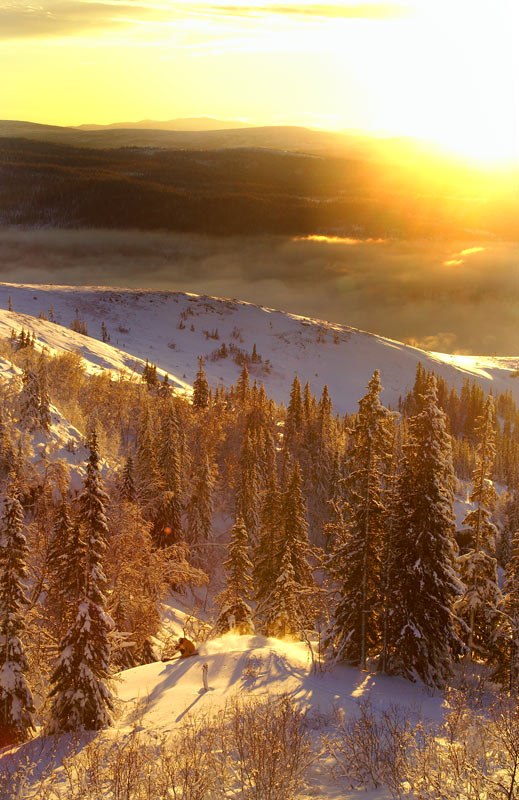 Reine och jag ute och plåtade i detta underbara l. Foto: Johan Ståhlberg. Åkare: Reine Barkered.