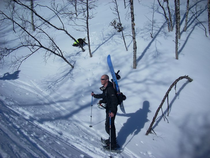 Foto: Anna Snäll. Åkare: Olof Appelblad+hunden Lycka.