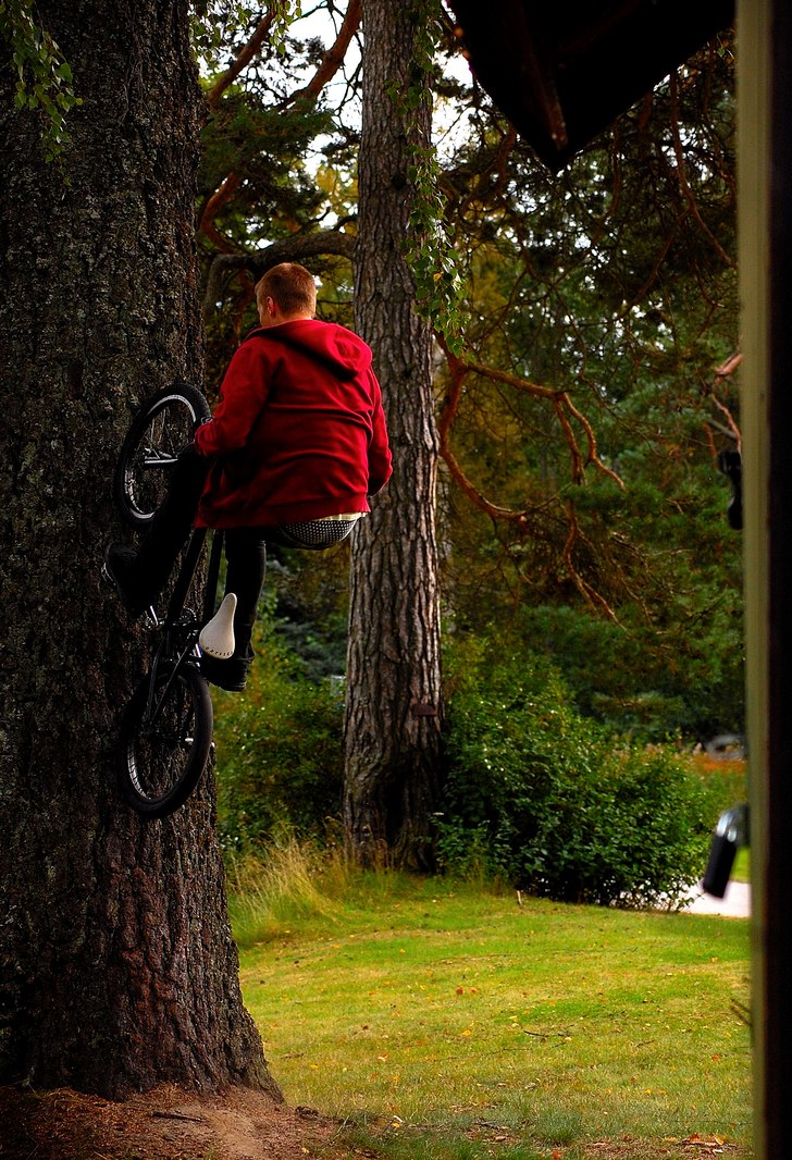 Henke högt uppe på trädet!. Foto: Simon Lindberg. Åkare: Henrik Westlund.