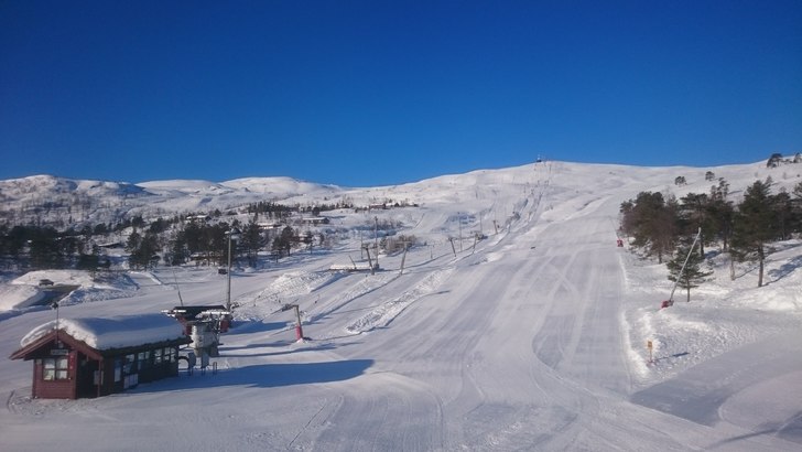 Torsdag klokka 08.50
.
